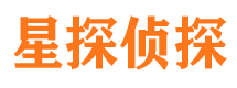 细河市侦探公司